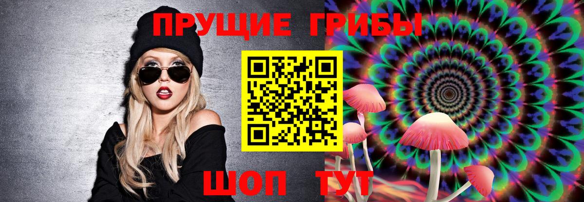 Псилоцибиновые грибы Psilocybine cubensis  Вход с VPN  Кандалакша  Псилоцибиновые грибы GOLDEN TEACHER 