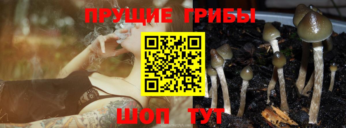 Галлюциногенные грибы Magic Shrooms Кандалакша